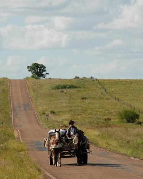 Campo y vida rural