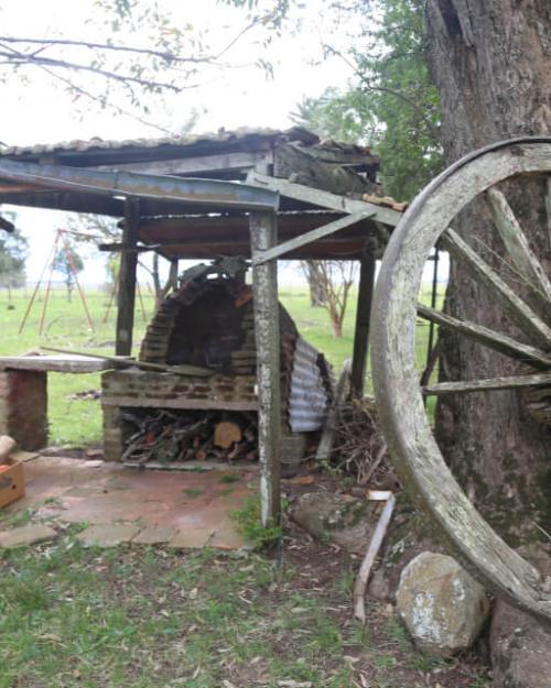 Campo y vida rural